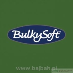 BulkySoft Serwetki 24x24, 2 warstwy 100 sztuk zielone